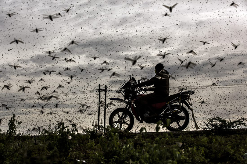 Luis Tato photograph
