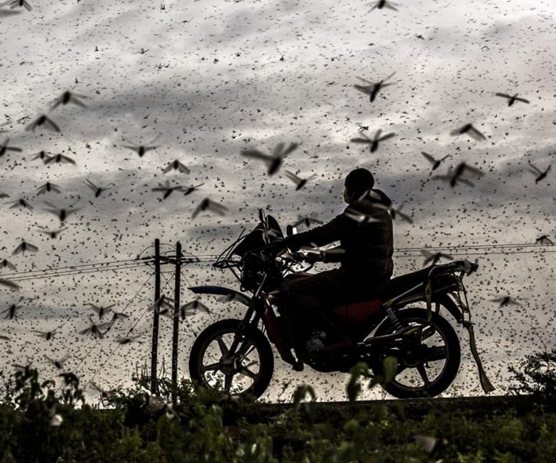 SONY WORLD PHOTOGRAPHY AWARDS 2021 WINNERS