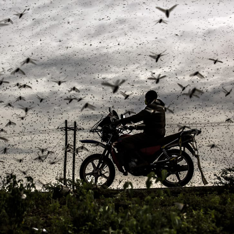 Luis Tato photograph