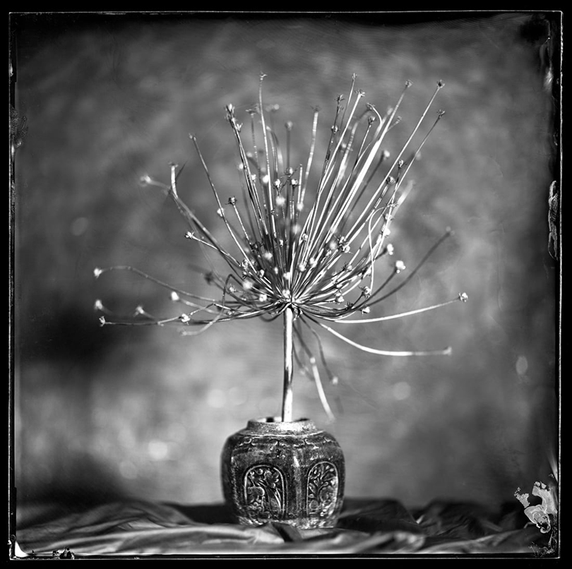 Peter Eleveld photograph